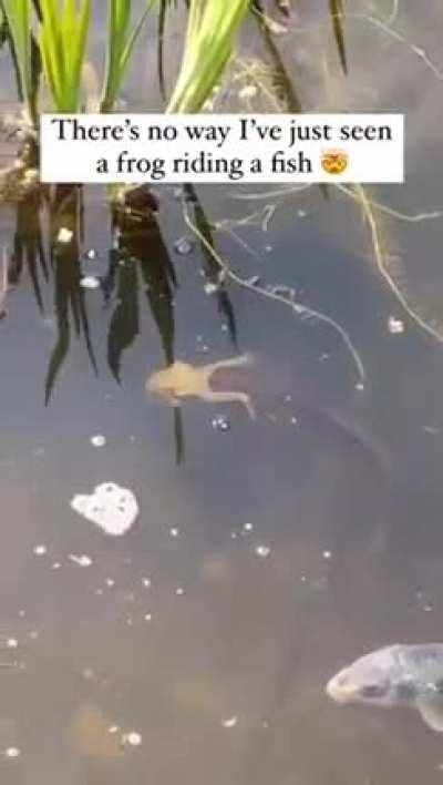 Thank you for the ride, kind stranger