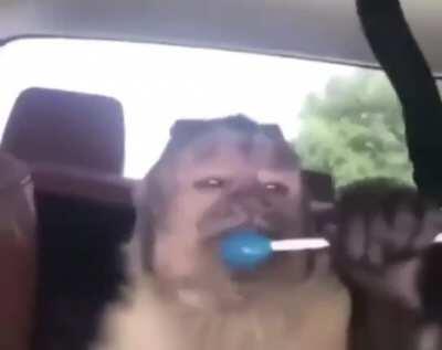 🤑🤑POV: Tener 786.973 bolívares 🤑🤑 messobra