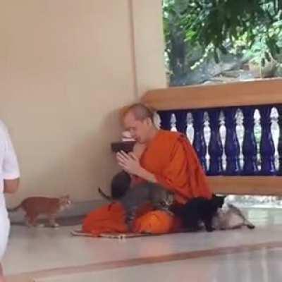 The Final Test for Monks Attaining Nirvana - Resist Temptation