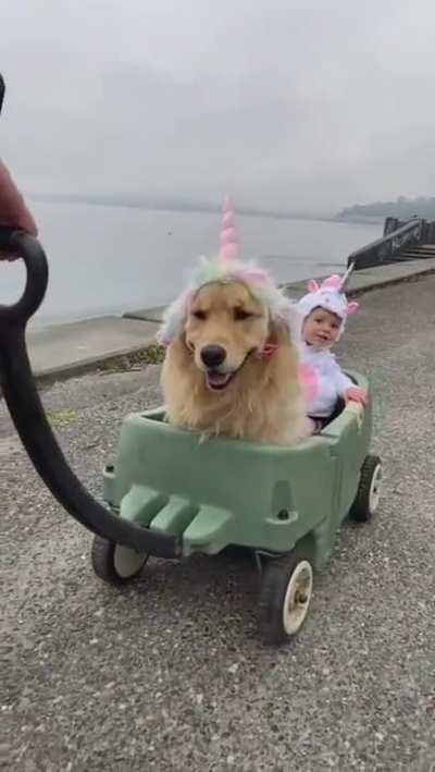 The Usual Thing, Just A Couple Of Unicorns.