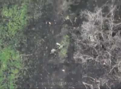 Russian soldiers who had died were scattered throughout the land. Report from close to Bakhmut Raion, Donetsk Oblast, from the 10th Mountain Assault Brigade of the Ukrainian Armed Forces