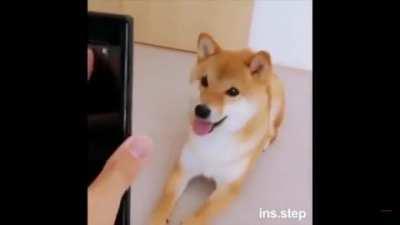 super mario in real life