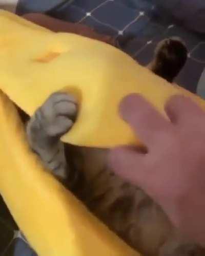 He really likes his new bed