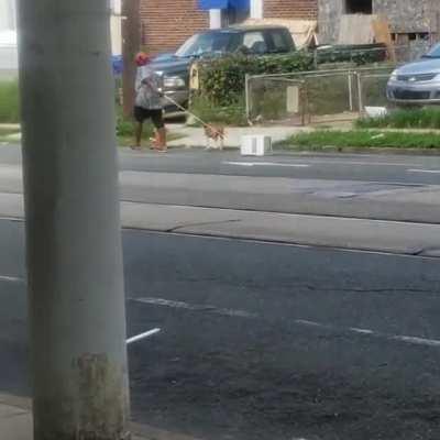 Just some lady taking her AC for a walk