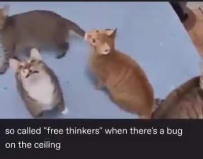 Synchronised baffled wunks