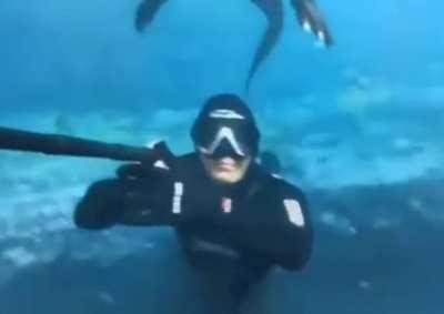 Selfie with an alligator