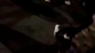 BLM rioter gets run over. Just happened in LA where they still remember what happened to Reginald Denny.