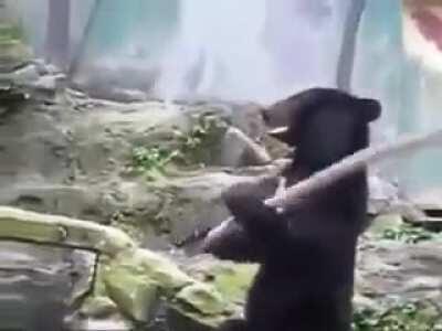 Tech school honor guard be like...