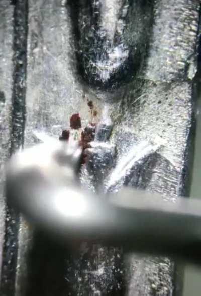 Ужасы для гермофобов