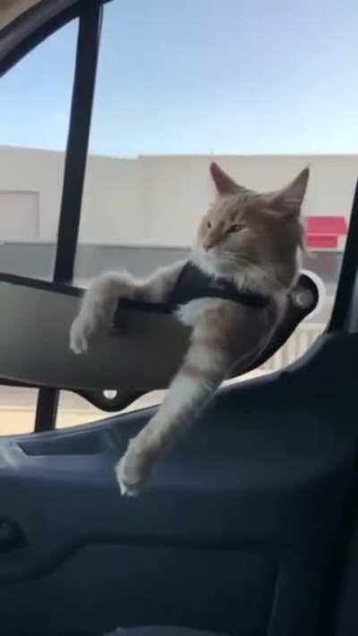 Living his best life