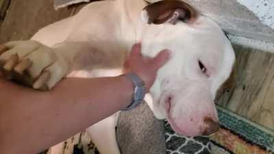 Big boy Max telling his mom 