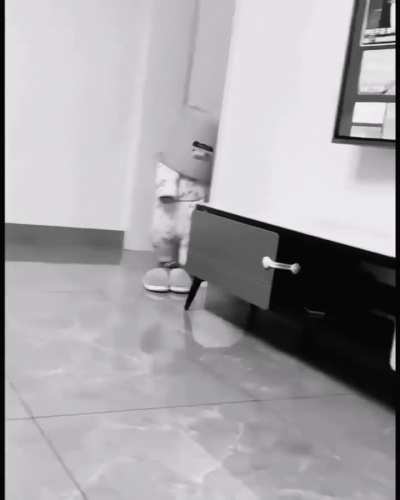 At least he seems to be enjoying it...?