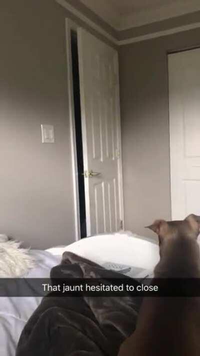 My cousins door closed by itself