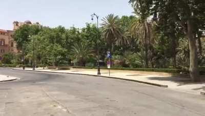 Here's Max, doing his thing on the streets of Palermo