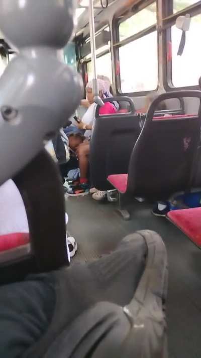 Lady on bus screams at her kids after pulling one out of her seat so hard, the child stumbled and slammed her face into another seat.