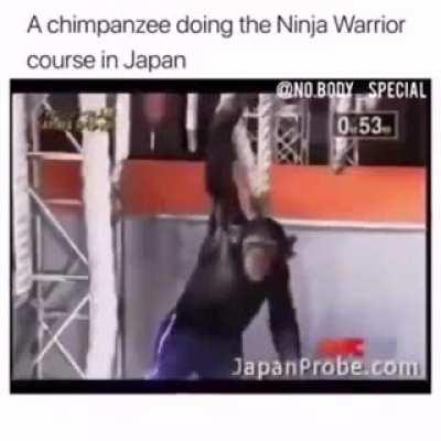 Average mexichango training to climb the wall 😎🇲🇽🇲🇽🇲🇽😎💪🇲🇽💪🇲🇽🤠🤠🇲🇽🇲🇽