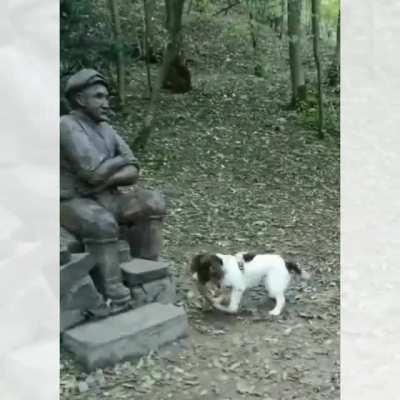 Come on man..Throw it.. and I will fetch!