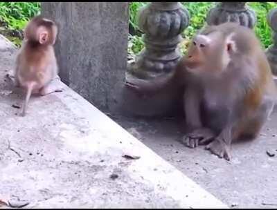 The look of a loving mother.