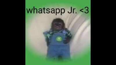 PIKENO ZAP 😍😍😍😍😍😍😍😍😍😍