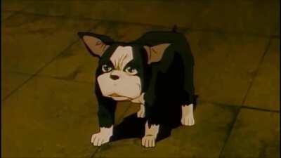 OVA Iggy death but he's a dumb fucking idiot