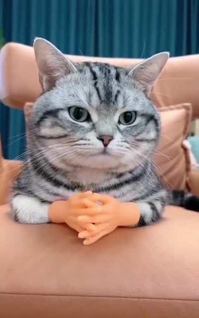 The puzzle came together