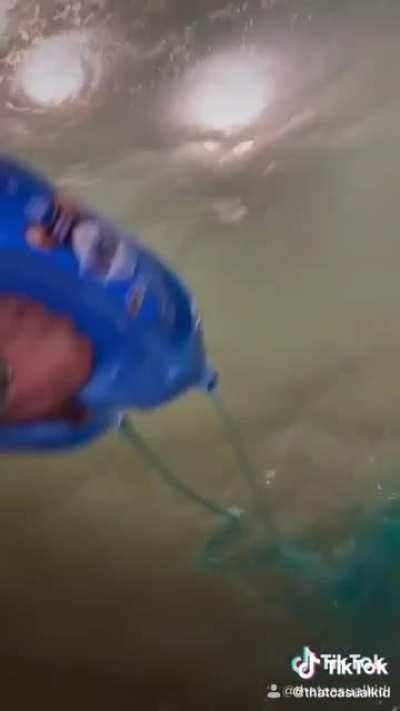 These youngsters are cool alright.