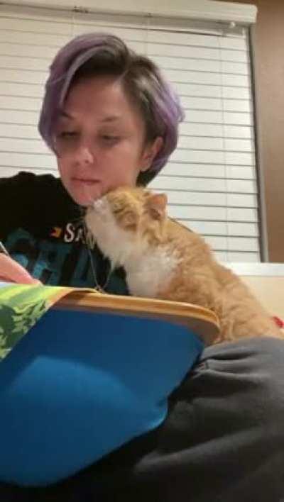 I am once again asking for your pat