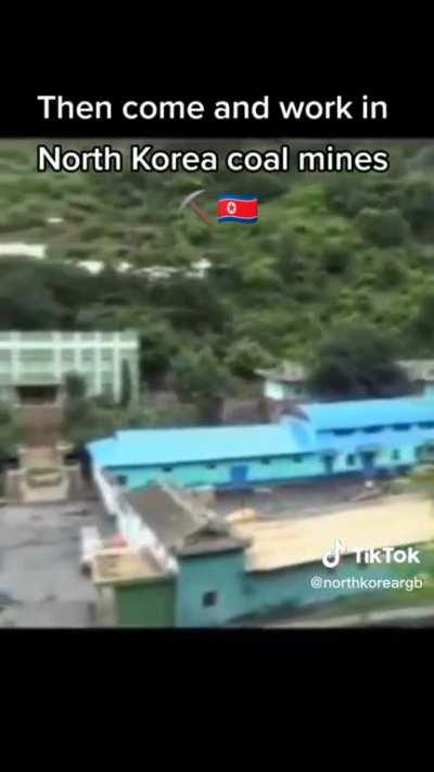 WHO WANNA WORK IN A COAL MINE