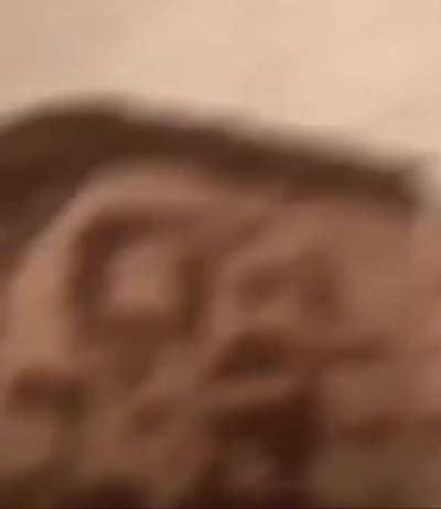 When you pick the right prediction but Bruce Scams