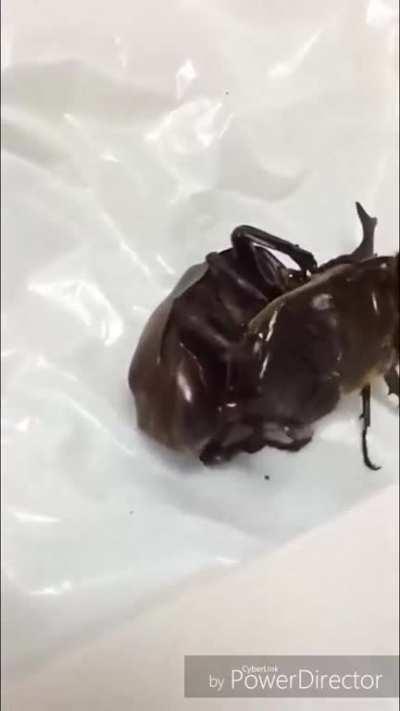 The world is a sick, sick place