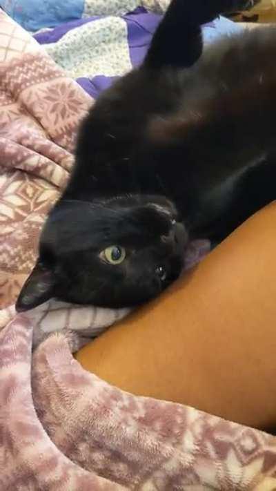 Early morning post breakfast violent affections