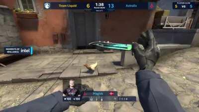 Magisk was way too happy to kill chicken...