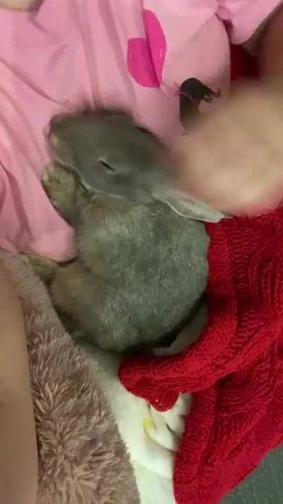 My baby missed us, he had a sitter while we camped, can you tell he is happy I’m home lol