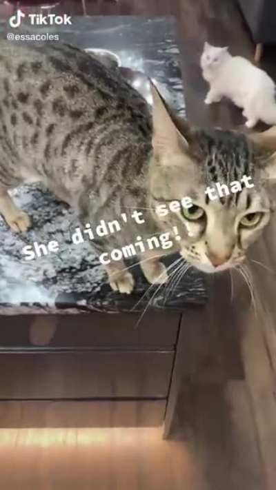 She didn't see that coming for sure.