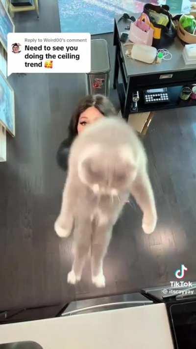 More @itscayyay spam and I am not even sorry, I mean look at her ffs