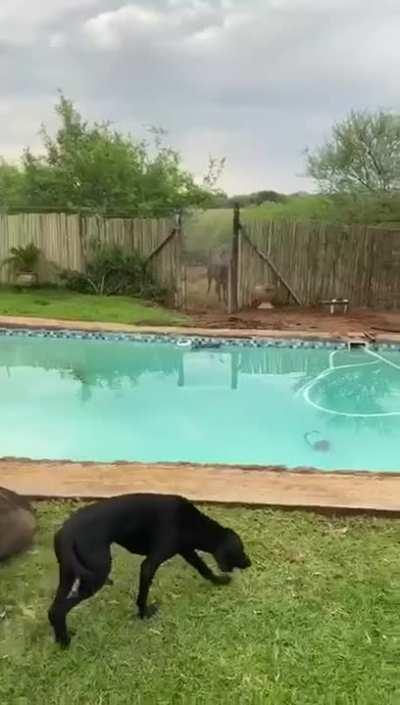 Family Snack Time in South Africa