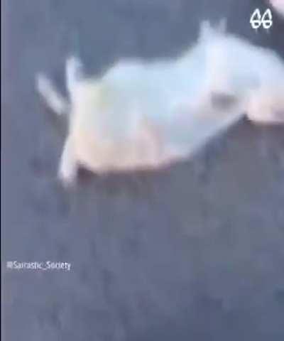 Que Sad 😭, Una ultima vez antes que se enfrie 🥹