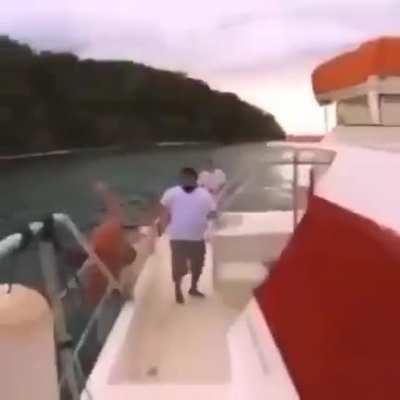 H2H. IdiotsNearlyDying. Slippity Doo Dah