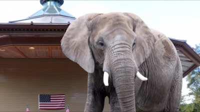 Just listen to her words and how extreme it gets