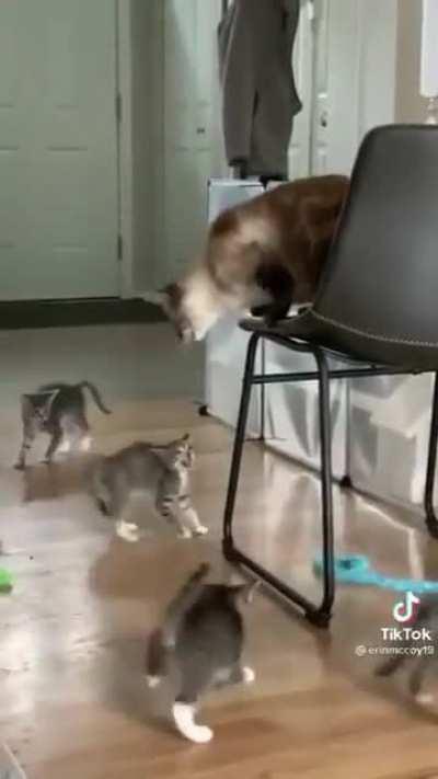 Criminals receiving orders from crime Boss