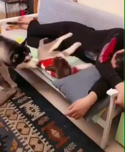 One day son, one day