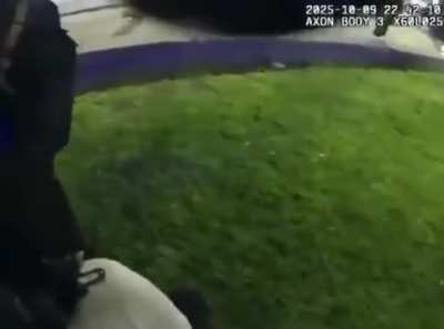 Utilizaron la pistola táser para reducir a una mujer que arrojaba cascotes a la gente en inmediaciones de la terminal rosarina