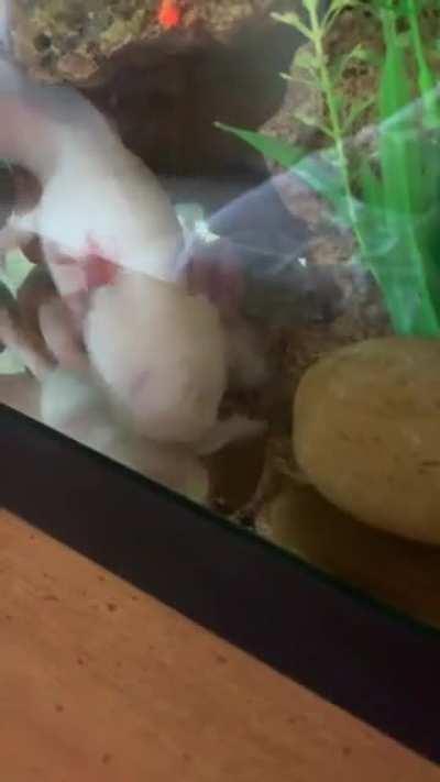 I don’t know y’all, I personally think she got the worm