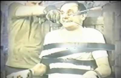 How it is to be a circus bear getting a nose pierce