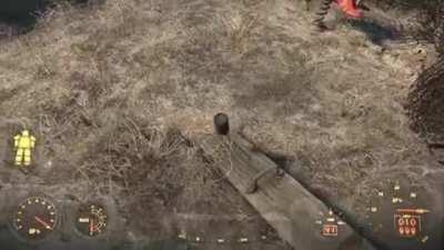 Finding ways to amuse myself after the world ends.