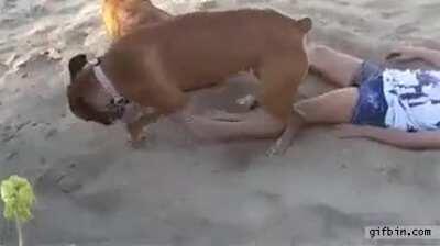 Let the sleeping dogs lie.