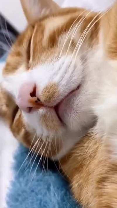 unmute this i promise you won’t regret it