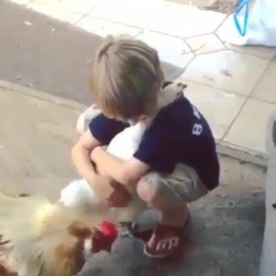 Chicken comes to hug kind human