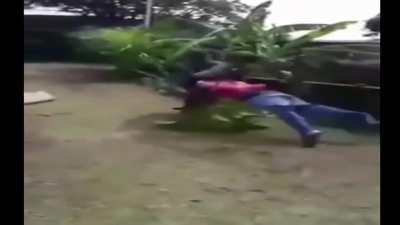 Fight of the century