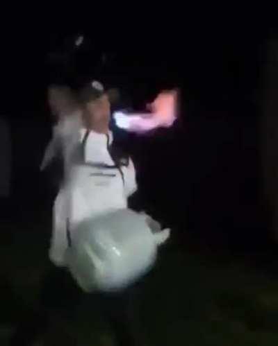 Dragons are real. Here is the proof